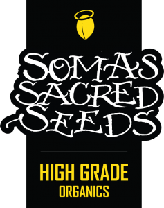 Vrste marihuane - Somango